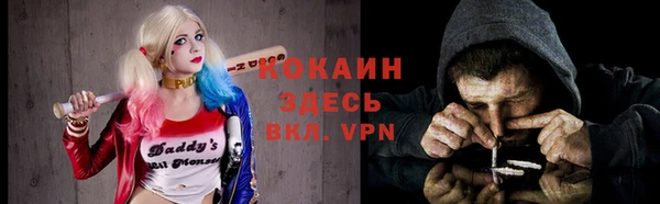 стафф Алексин