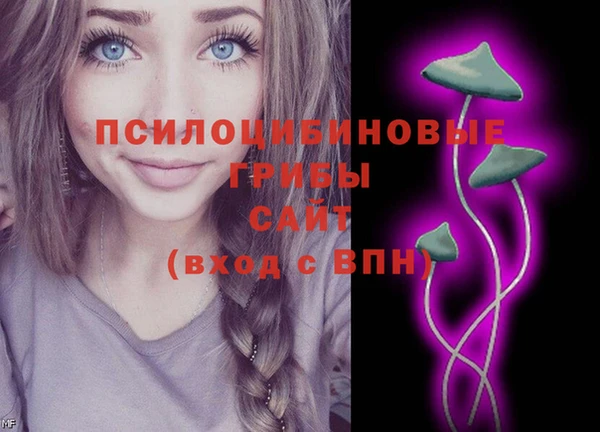 apvp Сосновоборск